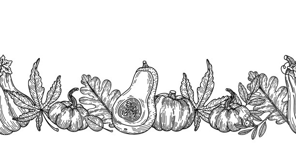 南瓜与秋天的叶子无缝的边界素描图片下载