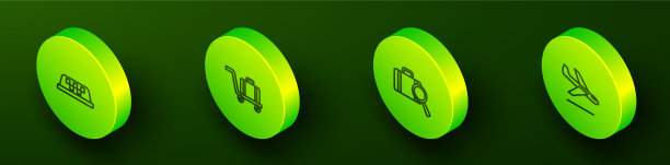 设置等距线出租车车顶手推车行李图片下载