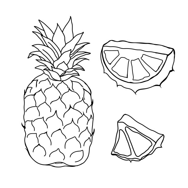 菠萝整体和切片集手绘涂鸦图片下载