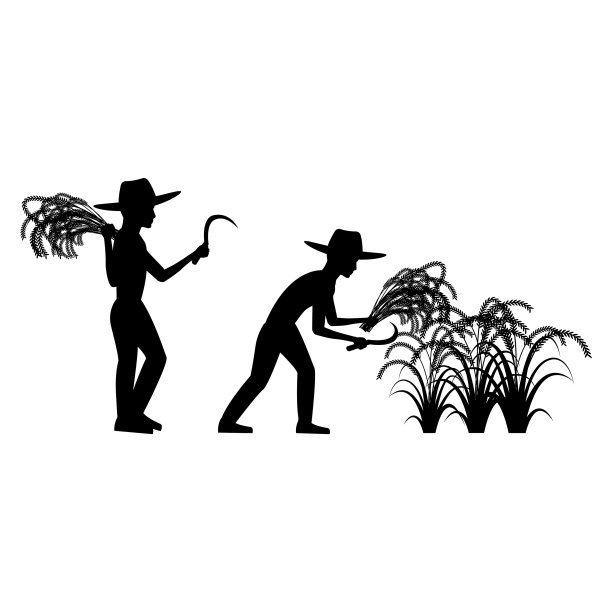 黑色轮廓设计与孤立的白色图片下载