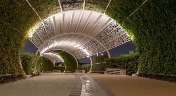 夜晚的加拉法公园图片下载