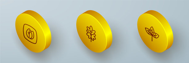 设置等距线叶片和图标图片下载