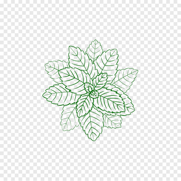 轮廓薄荷图标模板图片下载