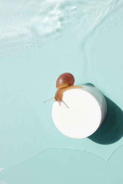 蜗牛就在水底色的护肤霜罐子上。美容护肤、蜗牛粘蛋白类化妆品。美丽的概念。图片下载