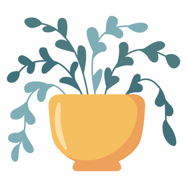 用于家庭或办公室室内装饰的植物。盆栽室内植物。天然室内植物。图片下载