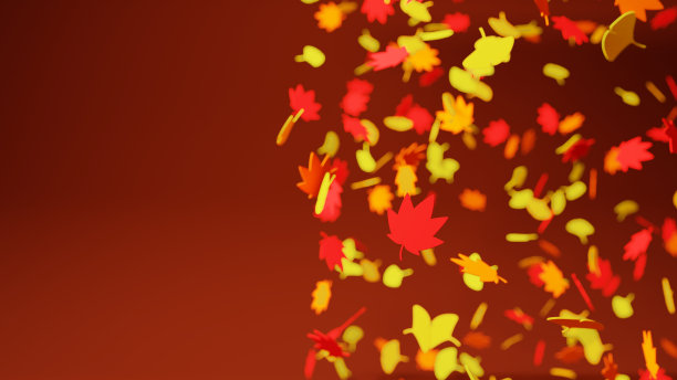 秋叶和银杏叶。棕色的背景。落叶的影像。(前面)3 d渲染。图片下载