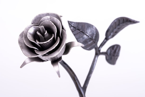 铁艺的玫瑰图片下载