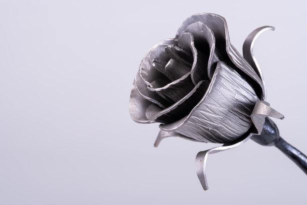 铁艺的玫瑰图片下载