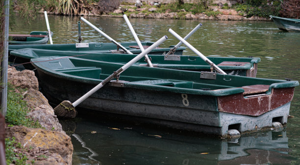 空旷的绿色在湖边划船图片下载