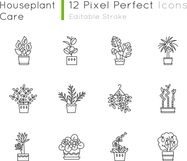 室内植物像素完美的线性图标设置室内图片下载