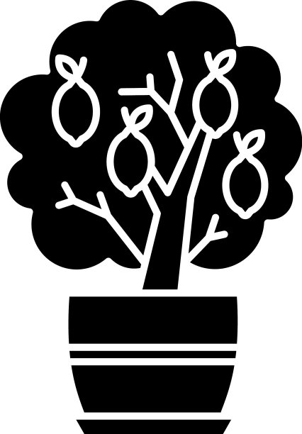 微型柠檬树黑色雕文图标盆栽图片下载