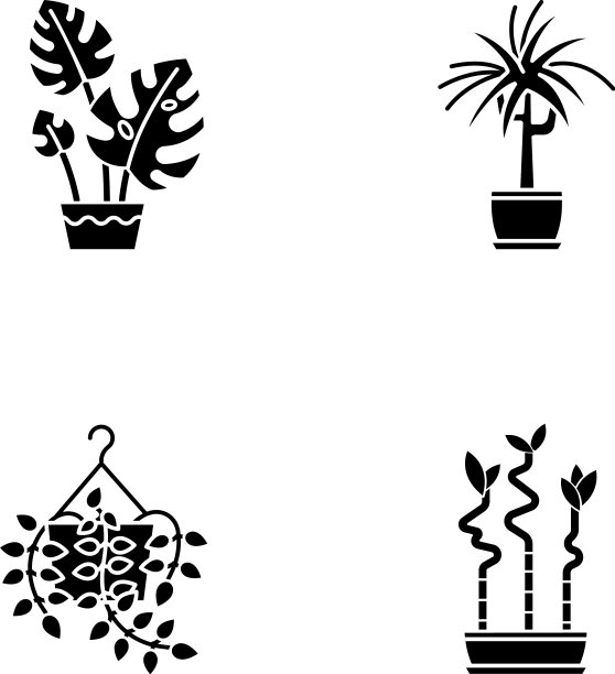 驯化的植物上有黑色的象形图标图片下载