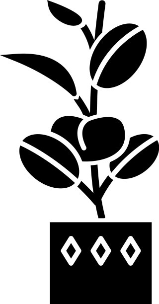 榕树弹性黑色字形图标橡胶无花果印第安图片下载
