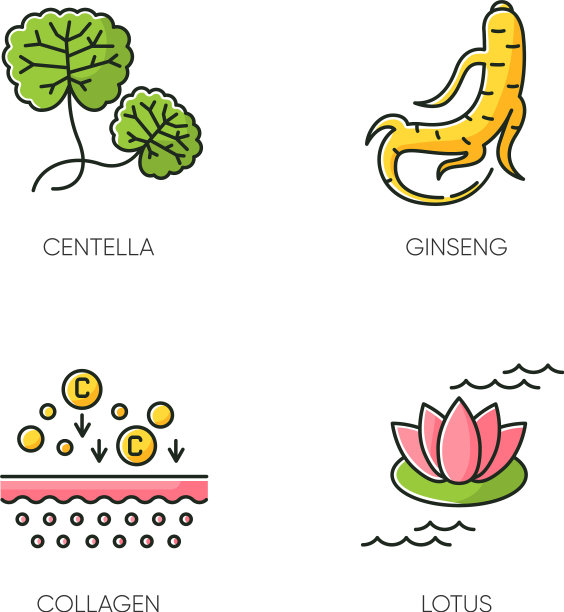 化妆品成分RGB彩色图标集积雪草图片下载