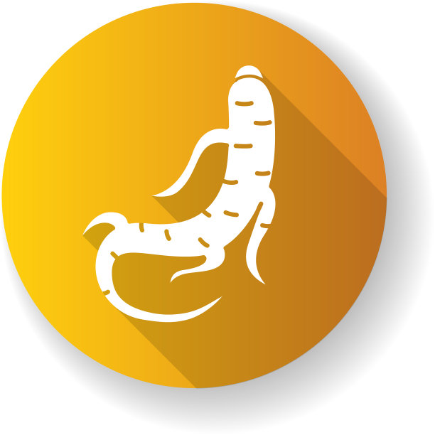 人参橙平设计长影子字形图标图片下载