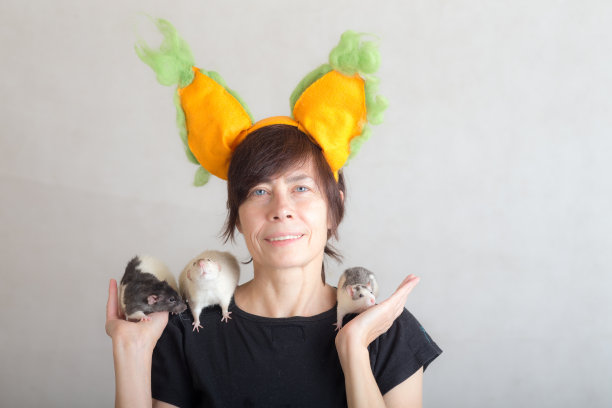 有三只家鼠图片下载