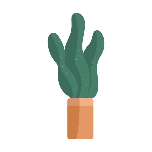 手绘室内植物盆栽矢量卡通平。植物插图孤立在白色背景。图片下载