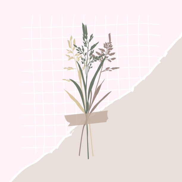 花与透明胶带，拼贴花束的田野草本与胶带。矢量图图片下载