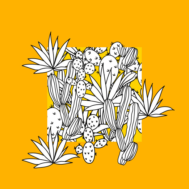 载体植物墙艺术，有仙人掌。图片下载