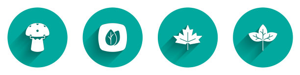 设置蘑菇叶加拿大枫叶和图标图片下载