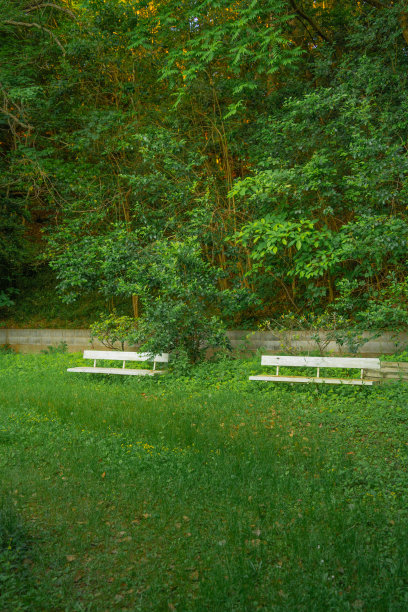 两个凳子图片下载