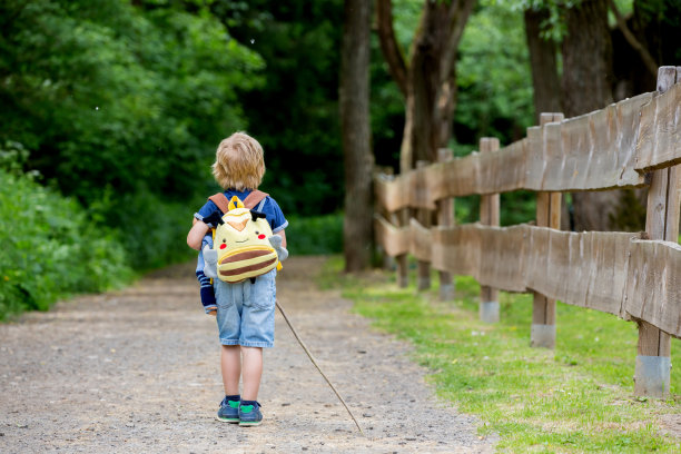 蹒跚学步的孩子，男孩，走在公园篱笆旁的小路上，徒步旅行图片下载