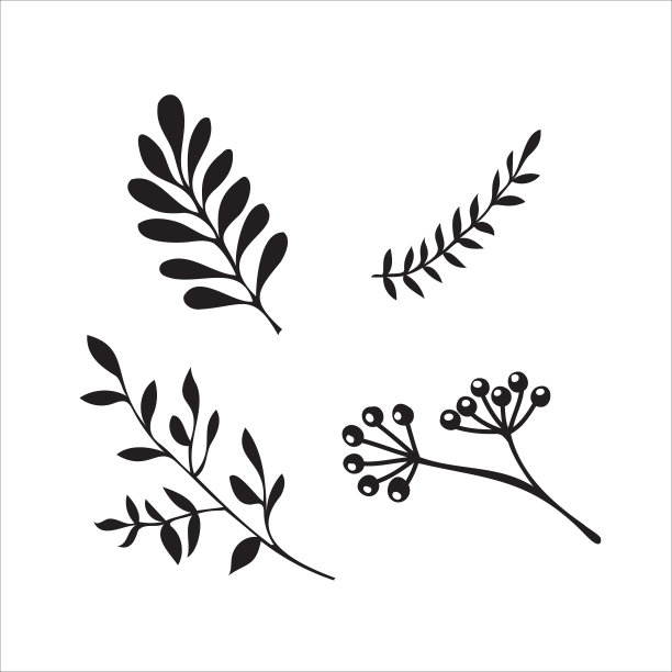 手绘树枝与树叶设置图片下载