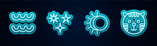 定线水瓶星座陨星月食的图片下载