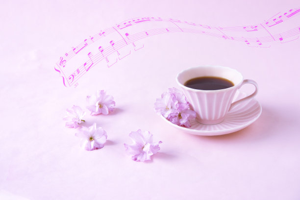 双朵樱花，咖啡和音乐图片下载
