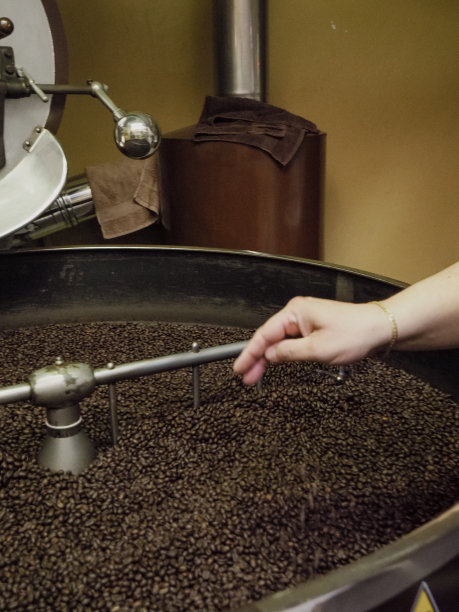 有机阿拉比卡咖啡豆烘烤后冷却图片下载