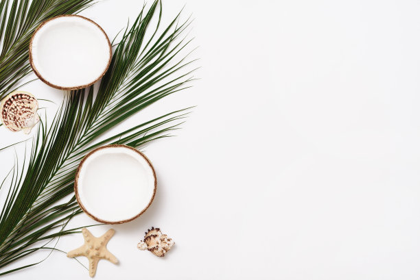 白色背景上的棕榈叶、椰子壳和半颗椰子。平面铺设与拷贝空间。夏天组成。图片下载