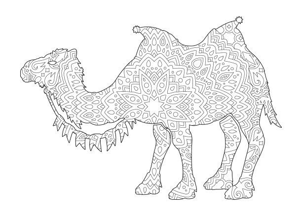 线条艺术着色书与风格化的骆驼图片下载