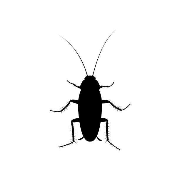 蟑螂昆虫图标孤立在白色背景图片下载