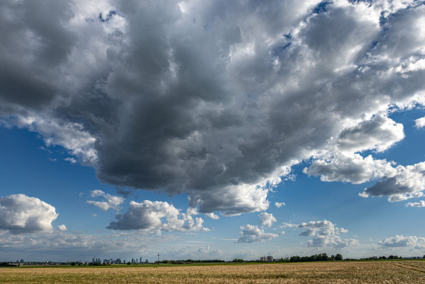 格威特图片下载