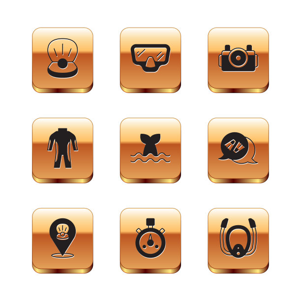 珍珠扇贝海贝秒表鲸图片下载