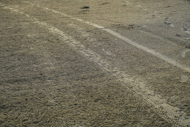 废弃的沙滩上的汽车轮胎印。图片下载