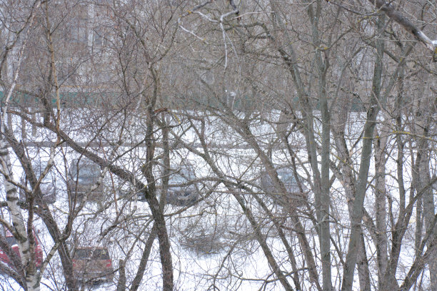 冬天在城市院子里阴天图片下载