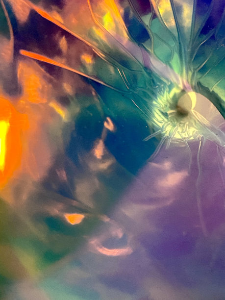 霓虹灯合成波蒸气激光全息图背景科幻迪斯科抽象合成复古技术未来的股票，照片，照片，图像图片下载