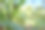 玉米上的植物与文字空间图片下载