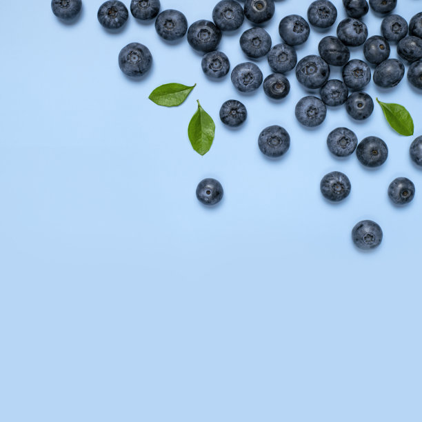 新鲜多汁的蓝莓，绿色的叶子，蓝色的背景。蓝莓的背景。平铺俯视图拷贝空间。健康浆果，有机食品，抗氧化剂，维生素，蓝色食品。蓝莓模式图片下载