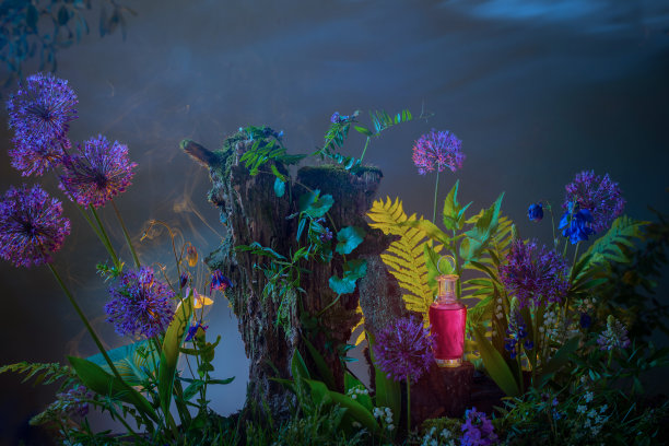 魔法森林里的一瓶魔法药水图片下载