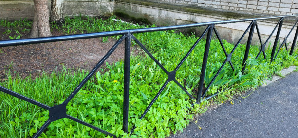 绿色草地上的黑色锻铁栅栏图片下载