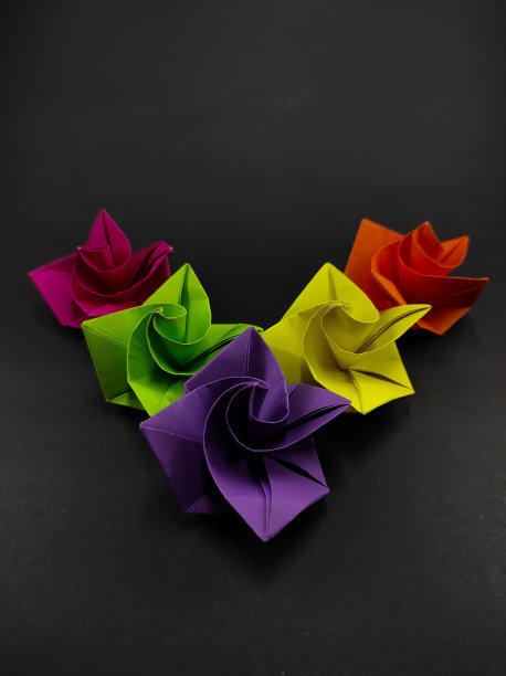 各色玫瑰-股票照片图片下载