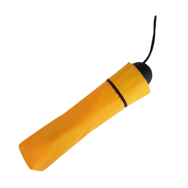 黄伞孤立图片下载