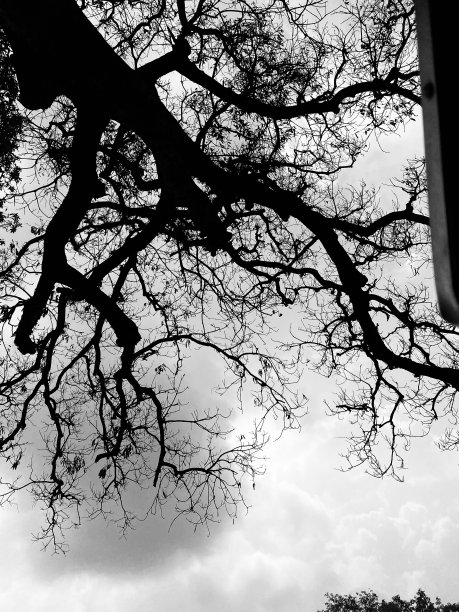 黑色和白色与摄影师在夏天的时间图片下载