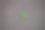爬行动物图片下载