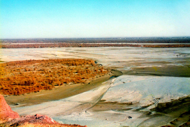 塔克拉玛干沙漠中心干涸的河流和植物。1996年秋天的照片图片下载