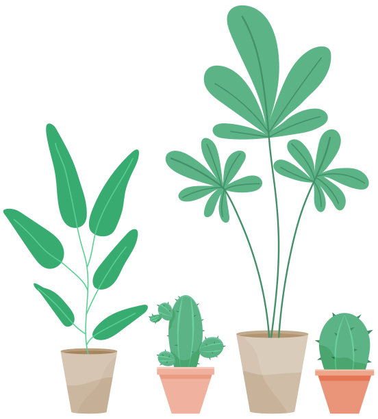 带有长叶的绿色植物图片下载