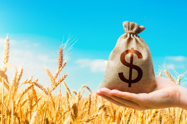 麦田和美元钱袋。农业和农业企业。世界粮食安全危机，价格高企。世界饥饿。五谷不足，牲畜饲料不足。饥饿和饥荒图片下载