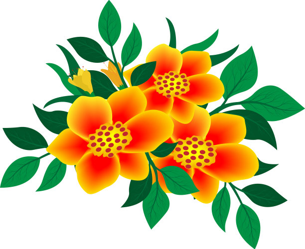 花的设计艺术图片下载